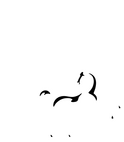loyds bank